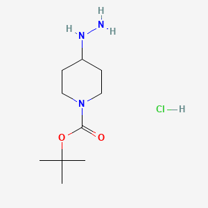 molecular formula C10H22ClN3O2 B572782 tert-Butyl 4-hydrazinylpiperidine-1-carboxylate hydrochloride CAS No. 1258001-18-1