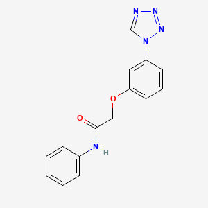 molecular formula C15H13N5O2 B5728742 N-phenyl-2-[3-(1H-tetrazol-1-yl)phenoxy]acetamide 