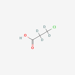 molecular formula C3H5ClO2 B572913 3-氯-2,2,3,3-四氘代丙酸 CAS No. 1219802-17-1