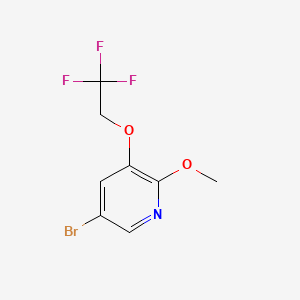 B572924 5-Bromo-2-methoxy-3-(2,2,2-trifluoroethoxy)pyridine CAS No. 1241752-45-3