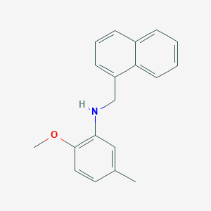 molecular formula C19H19NO B5729275 (2-methoxy-5-methylphenyl)(1-naphthylmethyl)amine 