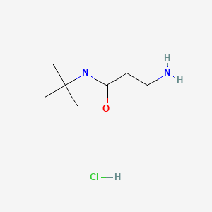 molecular formula C8H19ClN2O B572960 3-amino-N-tert-butyl-N-methylpropanamide hydrochloride CAS No. 1260883-72-4