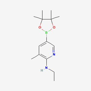 molecular formula C14H23BN2O2 B573018 n-Ethyl-3-methyl-5-(4,4,5,5-tetramethyl-1,3,2-dioxaborolan-2-yl)pyridin-2-amine CAS No. 1353716-76-3