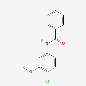molecular formula C14H12ClNO2 B5730400 N-(4-chloro-3-methoxyphenyl)benzamide 