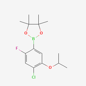 molecular formula C15H21BClFO3 B573061 2-(4-Chloro-2-fluoro-5-isopropoxyphenyl)-4,4,5,5-tetramethyl-1,3,2-dioxaborolane CAS No. 1256360-16-3