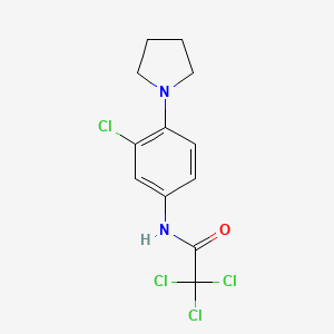 molecular formula C12H12Cl4N2O B5730692 2,2,2-trichloro-N-[3-chloro-4-(1-pyrrolidinyl)phenyl]acetamide 