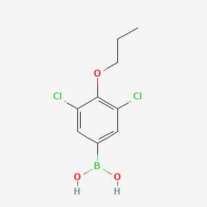 molecular formula C9H11BCl2O3 B573097 (3,5-Dichloro-4-propoxyphenyl)boronic acid CAS No. 1218790-61-4