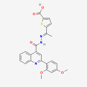 5-(N-{[2-(2,4-dimethoxyphenyl)-4-quinolinyl]carbonyl}ethanehydrazonoyl)-2-thiophenecarboxylic acid
