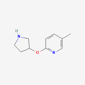 molecular formula C10H14N2O B573160 5-Methyl-2-(pyrrolidin-3-yloxy)pyridine CAS No. 1249053-49-3