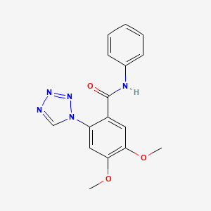 molecular formula C16H15N5O3 B5732010 4,5-dimethoxy-N-phenyl-2-(1H-tetrazol-1-yl)benzamide 