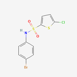 molecular formula C10H7BrClNO2S2 B5733851 N-(4-bromophenyl)-5-chloro-2-thiophenesulfonamide 