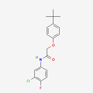 2-(4-tert-butylphenoxy)-N-(3-chloro-4-fluorophenyl)acetamide