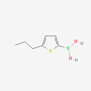 molecular formula C7H11BO2S B573549 (5-Propylthiophen-2-yl)boronic acid CAS No. 162607-24-1