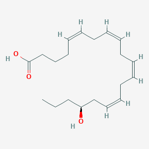 molecular formula C20H32O3 B573865 17(S)-HETE CAS No. 183509-25-3