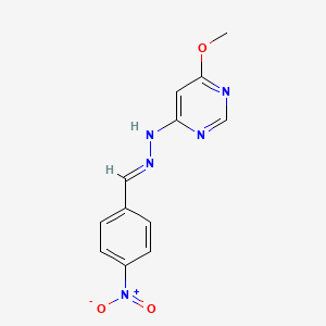 molecular formula C12H11N5O3 B5738715 4-nitrobenzaldehyde (6-methoxy-4-pyrimidinyl)hydrazone 