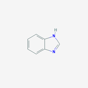 molecular formula C7H6N2 B057391 苯并咪唑 CAS No. 51-17-2
