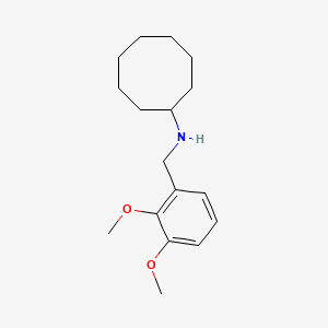molecular formula C17H27NO2 B5739717 N-(2,3-dimethoxybenzyl)cyclooctanamine 