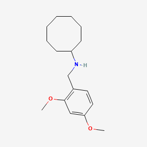 molecular formula C17H27NO2 B5740269 N-(2,4-dimethoxybenzyl)cyclooctanamine 