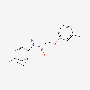 molecular formula C19H25NO2 B5740300 N-2-adamantyl-2-(3-methylphenoxy)acetamide 