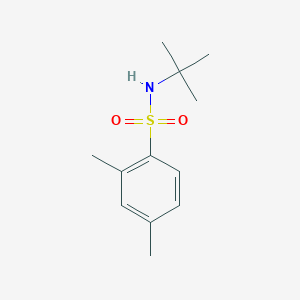 molecular formula C12H19NO2S B5740420 N-(tert-butyl)-2,4-dimethylbenzenesulfonamide 