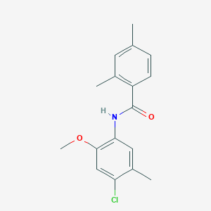 molecular formula C17H18ClNO2 B5740468 N-(4-chloro-2-methoxy-5-methylphenyl)-2,4-dimethylbenzamide 