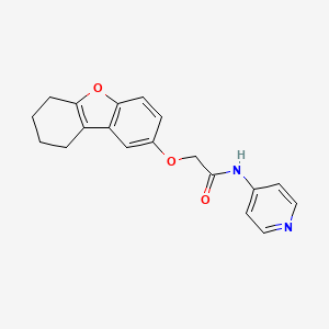 molecular formula C19H18N2O3 B5741606 N-4-pyridinyl-2-(6,7,8,9-tetrahydrodibenzo[b,d]furan-2-yloxy)acetamide 