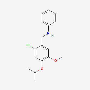 molecular formula C17H20ClNO2 B5742090 (2-chloro-4-isopropoxy-5-methoxybenzyl)phenylamine 