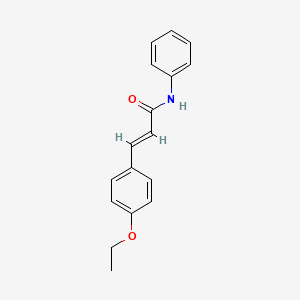 molecular formula C17H17NO2 B5743116 3-(4-ethoxyphenyl)-N-phenylacrylamide 