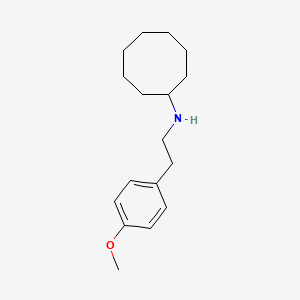 N-[2-(4-methoxyphenyl)ethyl]cyclooctanamine