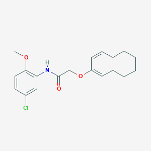 molecular formula C19H20ClNO3 B5744888 N-(5-chloro-2-methoxyphenyl)-2-(5,6,7,8-tetrahydro-2-naphthalenyloxy)acetamide 