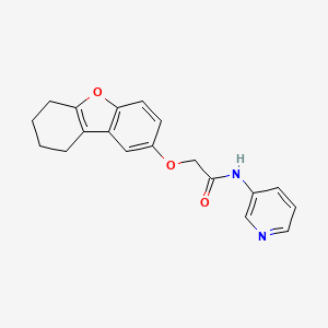 molecular formula C19H18N2O3 B5745063 N-3-pyridinyl-2-(6,7,8,9-tetrahydrodibenzo[b,d]furan-2-yloxy)acetamide 