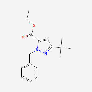 molecular formula C17H22N2O2 B574568 1-苄基-3-(叔丁基)-1H-吡唑-5-羧酸乙酯 CAS No. 175277-04-0