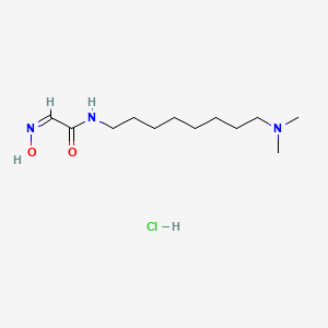 molecular formula C12H26ClN3O2 B5745756 N-[8-(dimethylamino)octyl]-2-(hydroxyimino)acetamide hydrochloride 