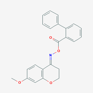 molecular formula C23H19NO4 B5745972 7-methoxy-2,3-dihydro-4H-chromen-4-one O-(2-biphenylylcarbonyl)oxime 