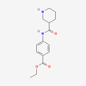molecular formula C15H20N2O3 B574678 Ethyl 4-[(piperidine-3-carbonyl)amino]benzoate CAS No. 189070-00-6
