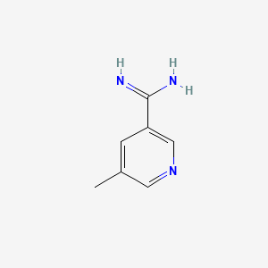 3-Pyridinecarboximidamide,5-methyl-