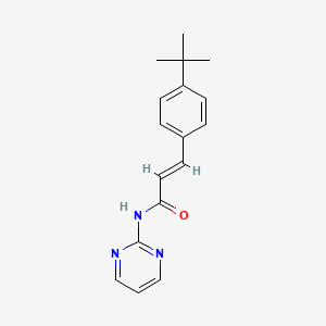 molecular formula C17H19N3O B5748100 3-(4-tert-butylphenyl)-N-2-pyrimidinylacrylamide 