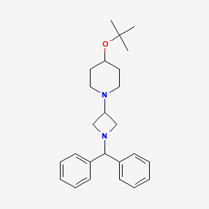 molecular formula C25H34N2O B574954 4-tert-Butoxy-1-[1-(diphenylmethyl)azetidin-3-yl]piperidine CAS No. 178311-89-2