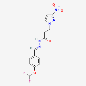 molecular formula C14H13F2N5O4 B5749731 N-{(E)-1-[4-(DIFLUOROMETHOXY)PHENYL]METHYLIDENE}-3-(3-NITRO-1H-PYRAZOL-1-YL)PROPANOHYDRAZIDE 