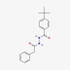 molecular formula C19H22N2O2 B5749742 4-tert-butyl-N'-(phenylacetyl)benzohydrazide 