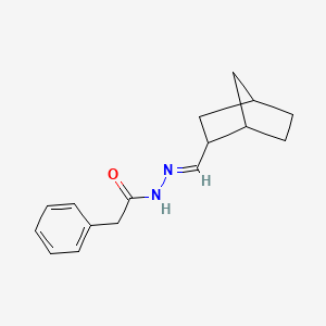 N'-(bicyclo[2.2.1]hept-2-ylmethylene)-2-phenylacetohydrazide