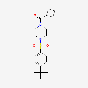 molecular formula C19H28N2O3S B5750878 1-[(4-tert-butylphenyl)sulfonyl]-4-(cyclobutylcarbonyl)piperazine 