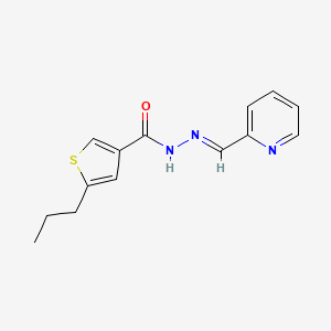 molecular formula C14H15N3OS B5751678 5-propyl-N'-(2-pyridinylmethylene)-3-thiophenecarbohydrazide 