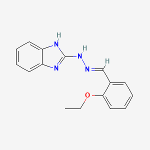 2-ethoxybenzaldehyde 1H-benzimidazol-2-ylhydrazone