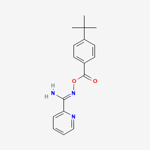 N'-[(4-tert-butylbenzoyl)oxy]-2-pyridinecarboximidamide