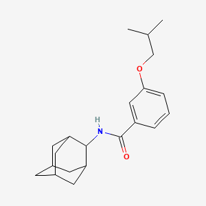 molecular formula C21H29NO2 B5753002 N-2-adamantyl-3-isobutoxybenzamide 