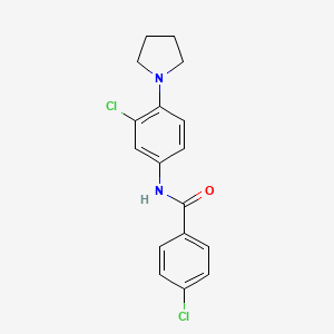 molecular formula C17H16Cl2N2O B5753282 4-chloro-N-[3-chloro-4-(1-pyrrolidinyl)phenyl]benzamide 
