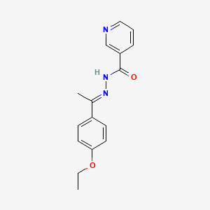 molecular formula C16H17N3O2 B5753528 N'-[1-(4-ethoxyphenyl)ethylidene]nicotinohydrazide 