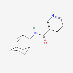 molecular formula C16H20N2O B5754027 N-2-adamantylnicotinamide 