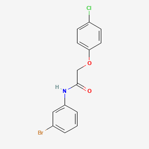 N-(3-bromophenyl)-2-(4-chlorophenoxy)acetamide